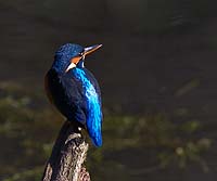 Chris Gilbert, Ravenseye Gallery, Peak District, Photographs, Courses